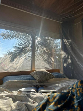 Spellbound in Siwa